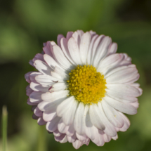 _DSC0070