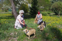 Neska, Misia, Katja, Piksel