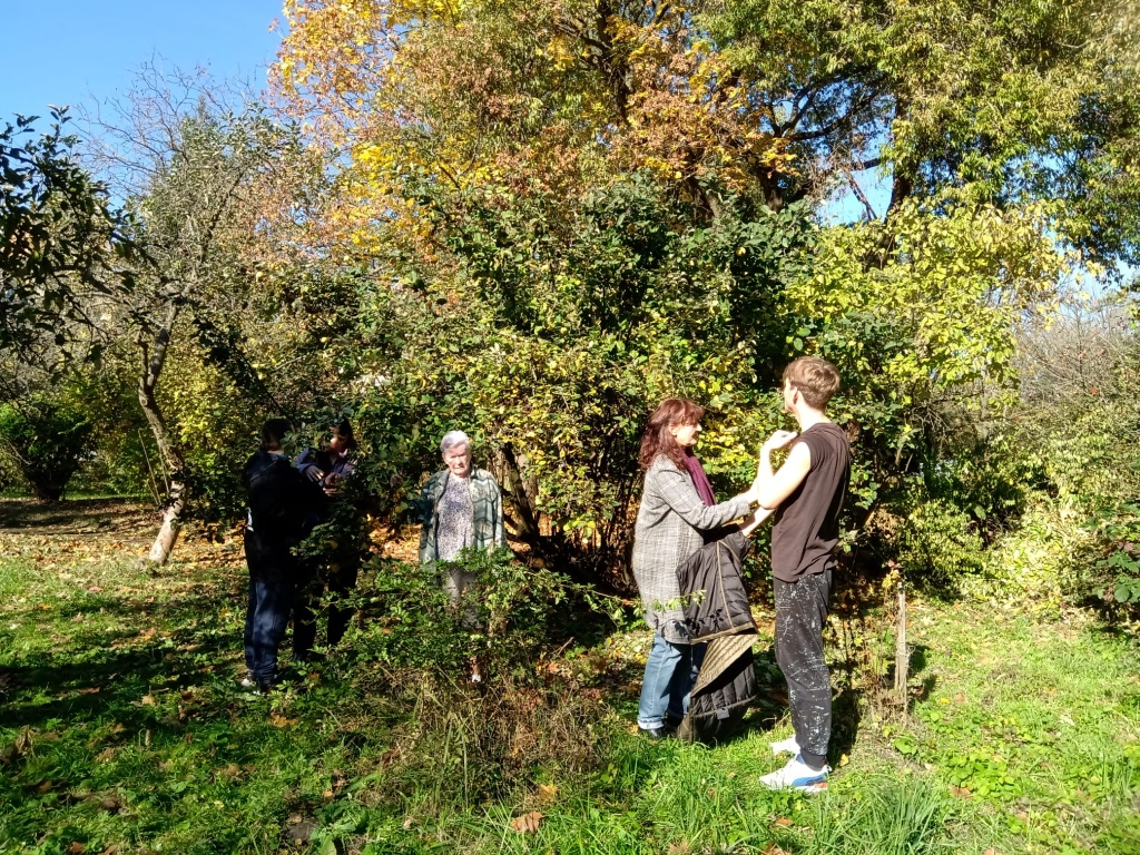 Pigwa „jabłkowa” w centrum zainteresowania Pigwa „jabłkowa” w centrum zainteresowania