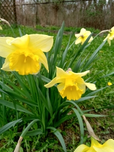 IMG_20240401_154728