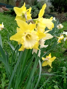 IMG_20240401_155053