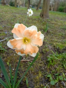 IMG_20240401_160412