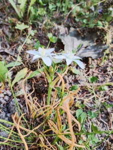IMG_20260506_165939_hdr