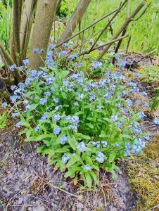 IMG_20260506_181022_hdr