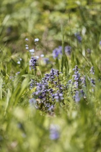 IMG_7889