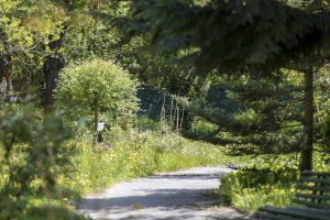 IMG_8066