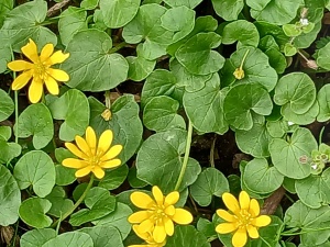 WhatsApp Image 2026-04-16 at 15.16.25