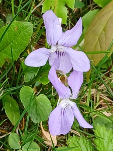 WhatsApp Image 2026-04-16 at 15.16.36 (1)