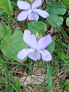 WhatsApp Image 2026-04-16 at 15.16.36