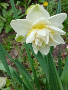 WhatsApp Image 2026-04-16 at 15.16.40 (1)