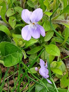 WhatsApp Image 2026-04-16 at 15.16.40