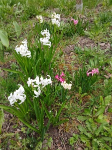 WhatsApp Image 2026-04-16 at 15.16.56 (1)