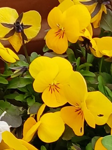 WhatsApp Image 2026-04-16 at 15.16.56