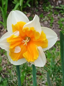 WhatsApp Image 2026-04-16 at 15.16.57