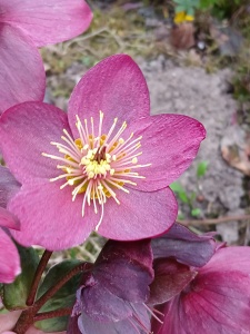 WhatsApp Image 2026-04-16 at 15.16.58 (1)