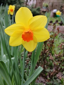 WhatsApp Image 2026-04-16 at 15.16.58 (2)