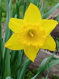 WhatsApp Image 2026-04-16 at 15.16.58 (3)