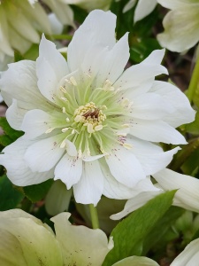 WhatsApp Image 2026-04-16 at 15.16.58