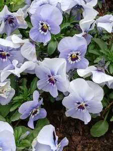 WhatsApp Image 2026-04-16 at 15.16.59 (1)