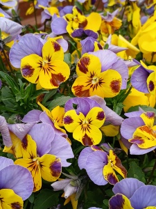 WhatsApp Image 2026-04-16 at 15.16.59 (2)