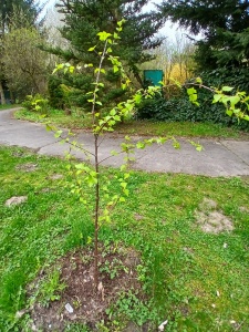 WhatsApp Image 2026-04-16 at 15.16.59 (3)