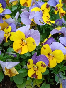 WhatsApp Image 2026-04-16 at 15.16.59