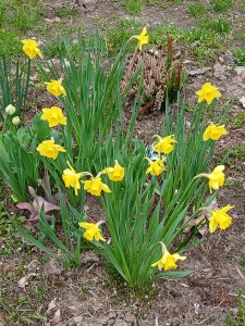 WhatsApp Image 2026-04-16 at 15.17.00 (1)