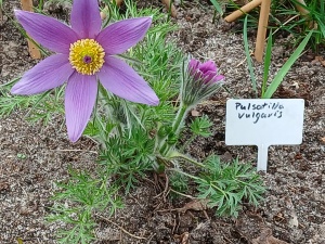 WhatsApp Image 2026-04-16 at 15.17.00 (2)