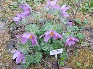 WhatsApp Image 2026-04-16 at 15.17.00 (3)