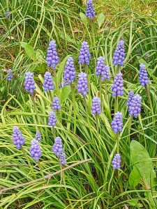 WhatsApp Image 2026-04-16 at 15.17.00