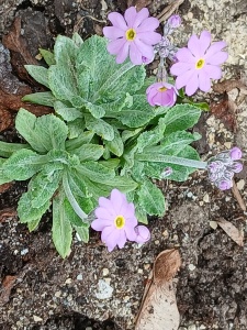 WhatsApp Image 2026-04-16 at 15.17.01 (1)