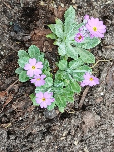 WhatsApp Image 2026-04-16 at 15.17.01 (2)