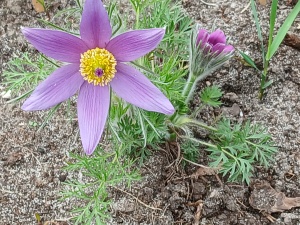 WhatsApp Image 2026-04-16 at 15.17.01