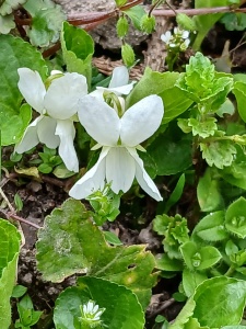 WhatsApp Image 2026-04-16 at 15.21.45