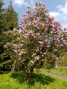 IMG 20240425 150842