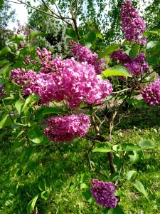 IMG 20240425 150954