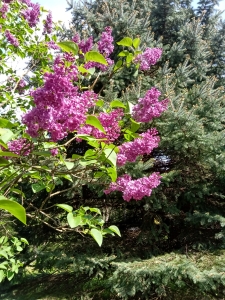IMG 20240425 151031